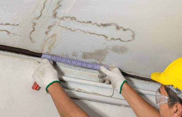 Reliable Burst Pipe Cleanup contractor in Naperville, IL by Water Damage Irwin